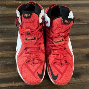 Nike lebron 12 Heart of a Lion